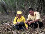 โครงการปลูกป่าเฉลิมพระเกียรติพระบาทสมเด็จพระเจ้าอยู่หัวเนื่อ